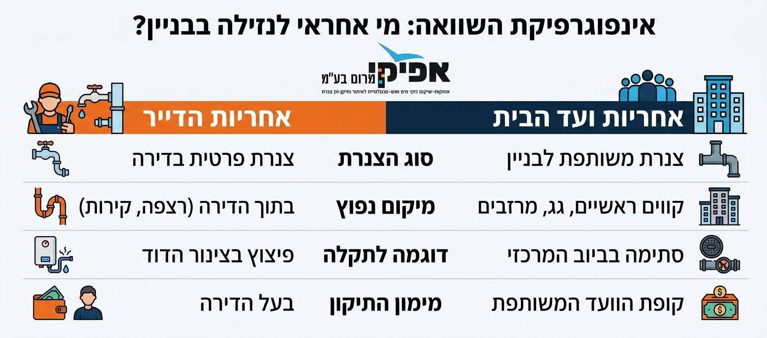 אינפוגרפיקה