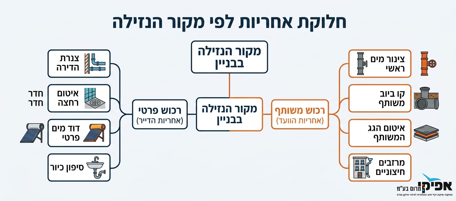 אינפוגרפיקה