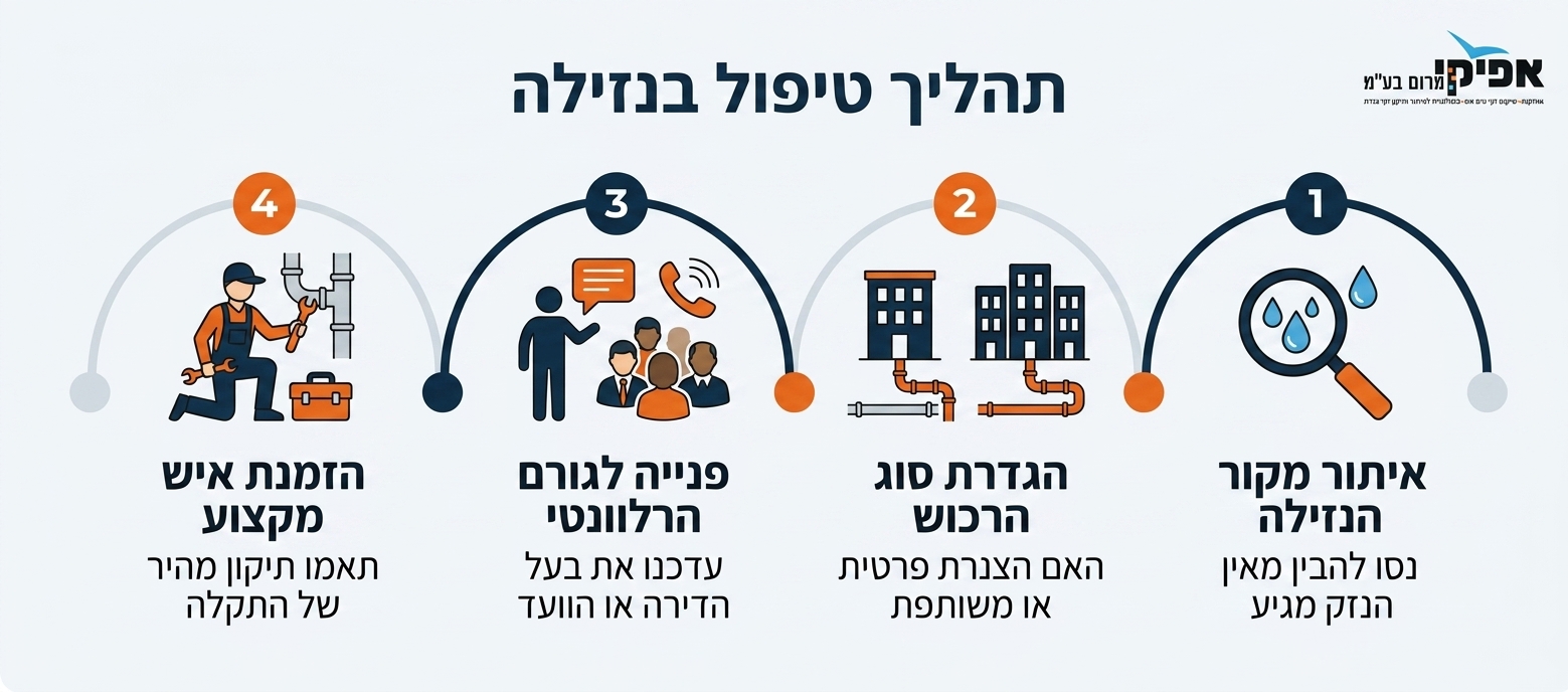 אינפוגרפיקה