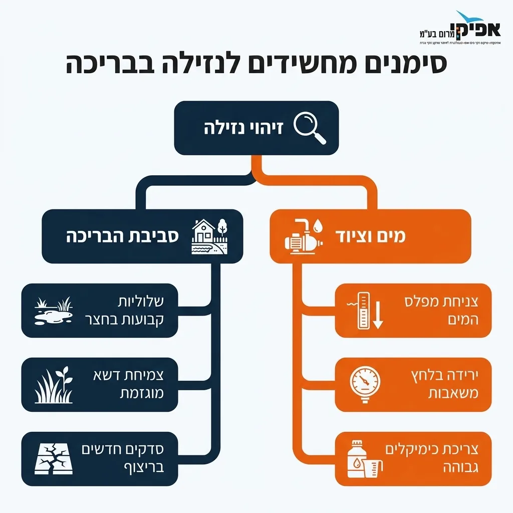 אינפוגרפיקה — סימנים מחשידים לנזילה בבריכה: זיהוי נזילה